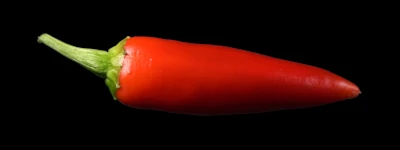 Cayenne