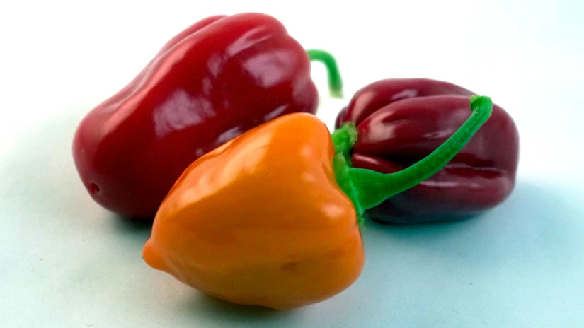 How Do You Measure the 'Heat' of a Pepper?