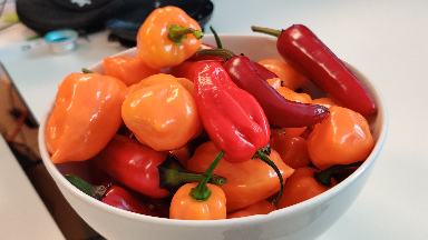 Scoville Scale